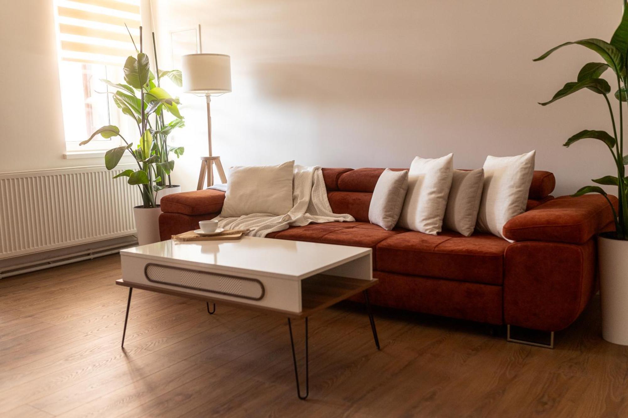 Bleyer Haus Central Apartment Oradea Eksteriør bilde